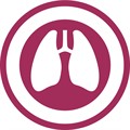 Lung infographic Lung infographic